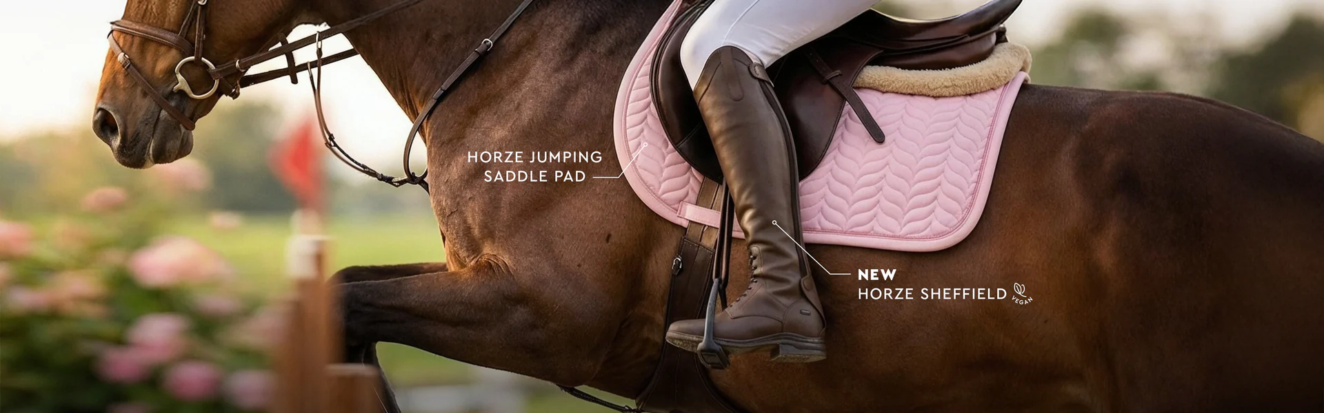 Unleash Your Passion for Riding