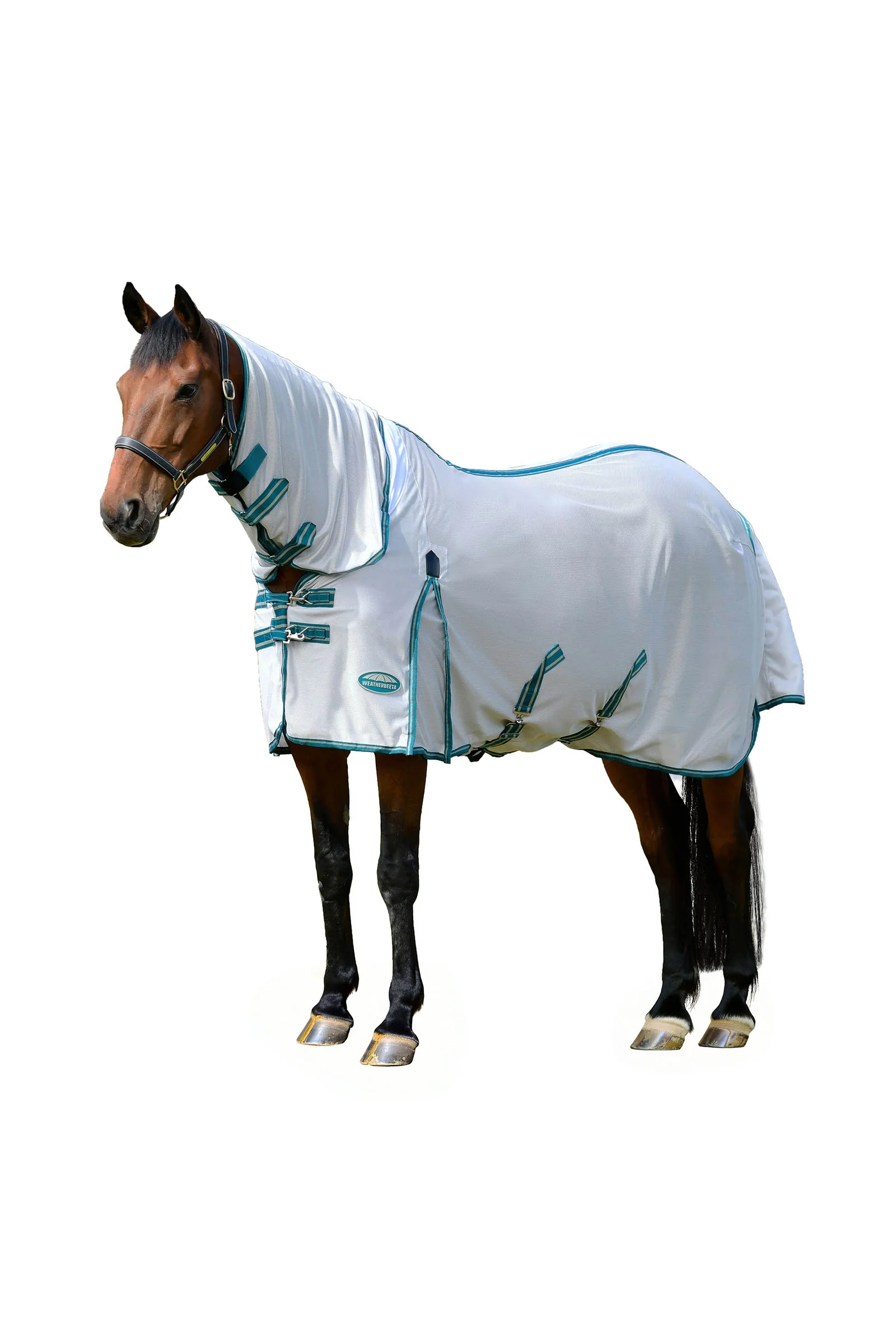DK sale 20% [hidden]